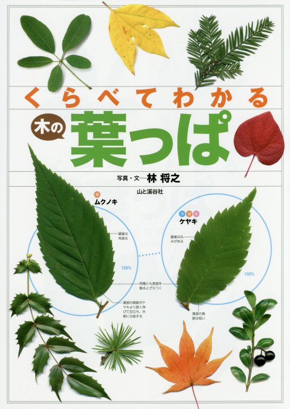 くらべてわかる木の葉っぱ　スキャン画像で見分ける　