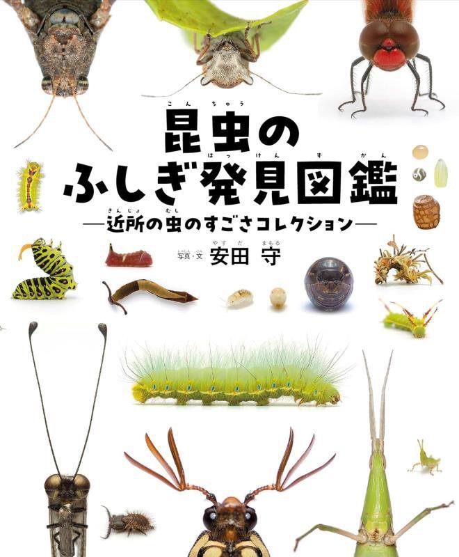 昆虫のふしぎ発見図鑑　近所の虫のすごさコレクション　