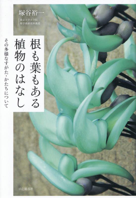 根も葉もある植物のはなし　その多様なすがた・かたちについて　