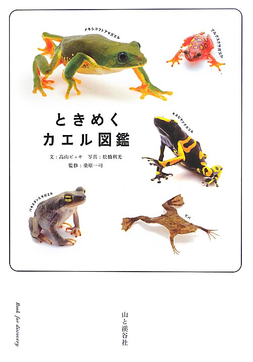 ときめくカエル図鑑　　（Ｂｏｏｋ　ｆｏｒ　ｄｉｓｃｏｖｅｒｙ）
