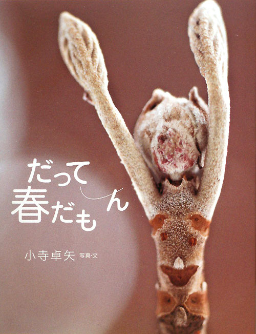 だって春だもん　