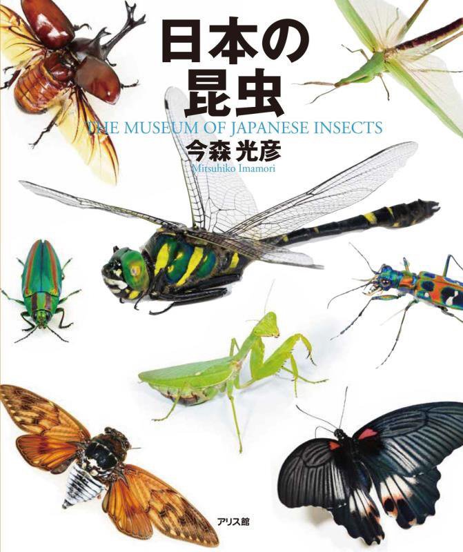 日本の昆虫　ＴＨＥ　ＭＵＳＥＵＭ　ＯＦ　ＪＡＰＡＮＥＳＥ　ＩＮＳＥＣＴＳ　