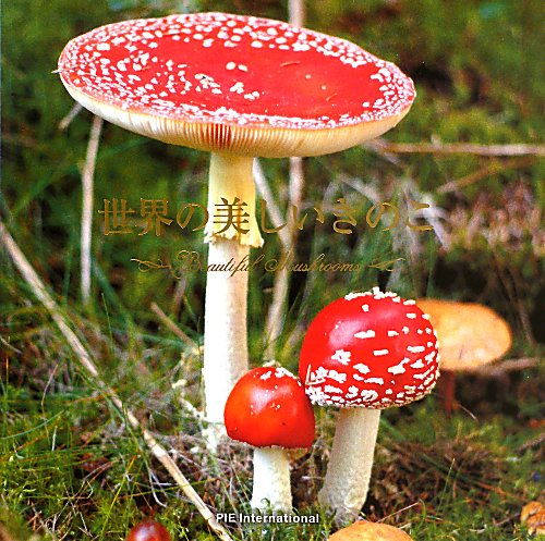 世界の美しいきのこ　
