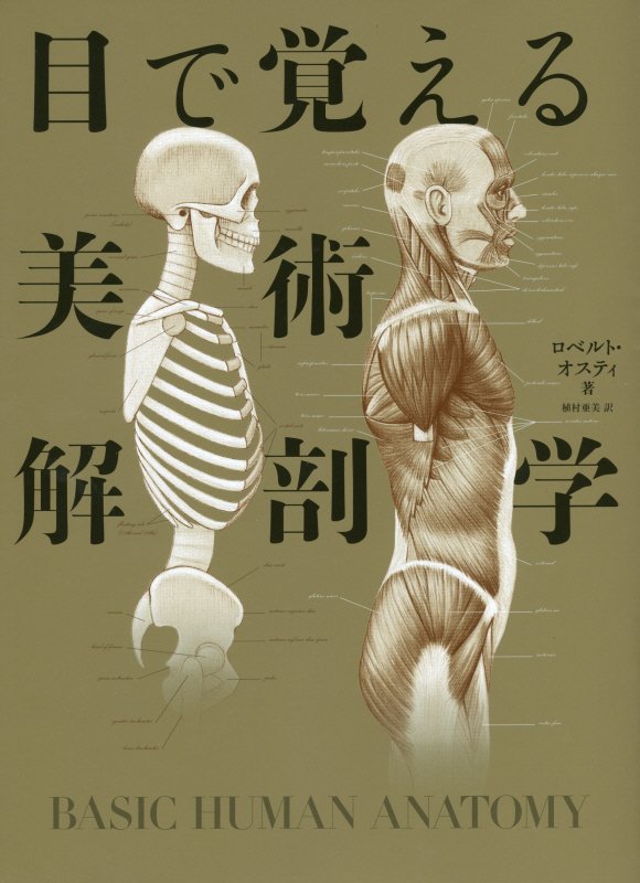 目で覚える美術解剖学　