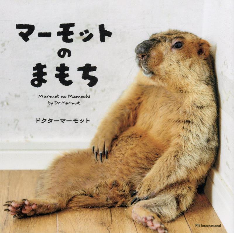 マーモットのまもち　