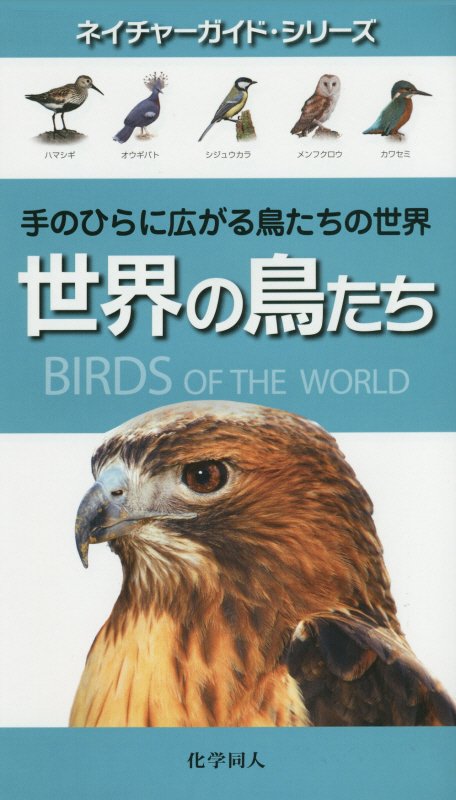 世界の鳥たち　手のひらに広がる鳥たちの世界　　（ネイチャーガイド・シリーズ）