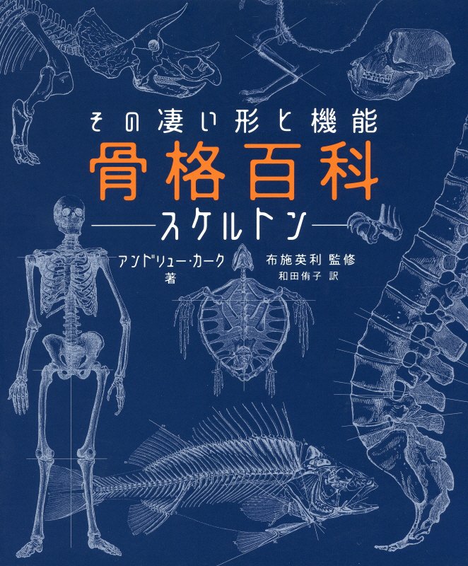 骨格百科　スケルトン　
