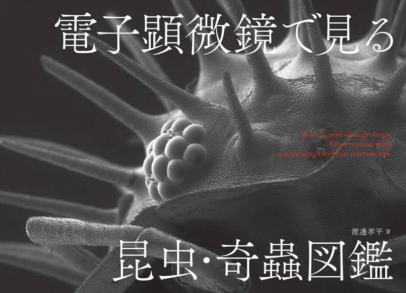 電子顕微鏡で見る昆虫・奇蟲図鑑　