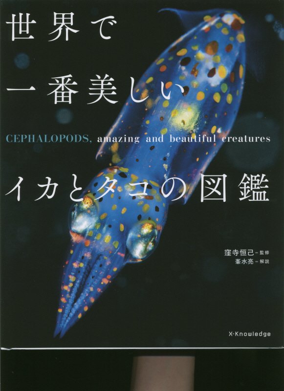 世界で一番美しいイカとタコの図鑑　
