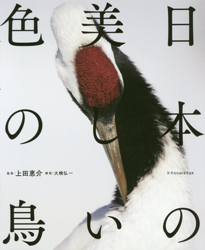 日本の美しい色の鳥　