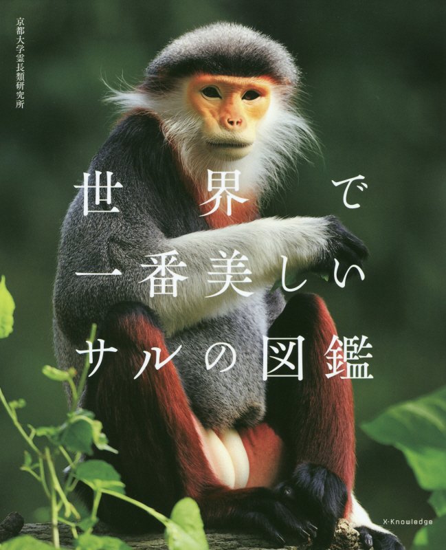 世界で一番美しいサルの図鑑　