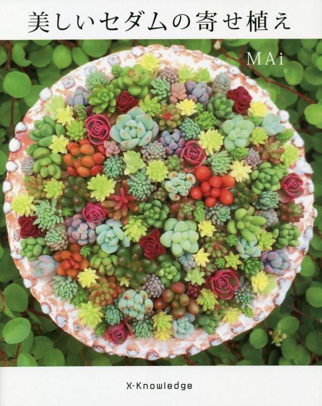 美しいセダムの寄せ植え　