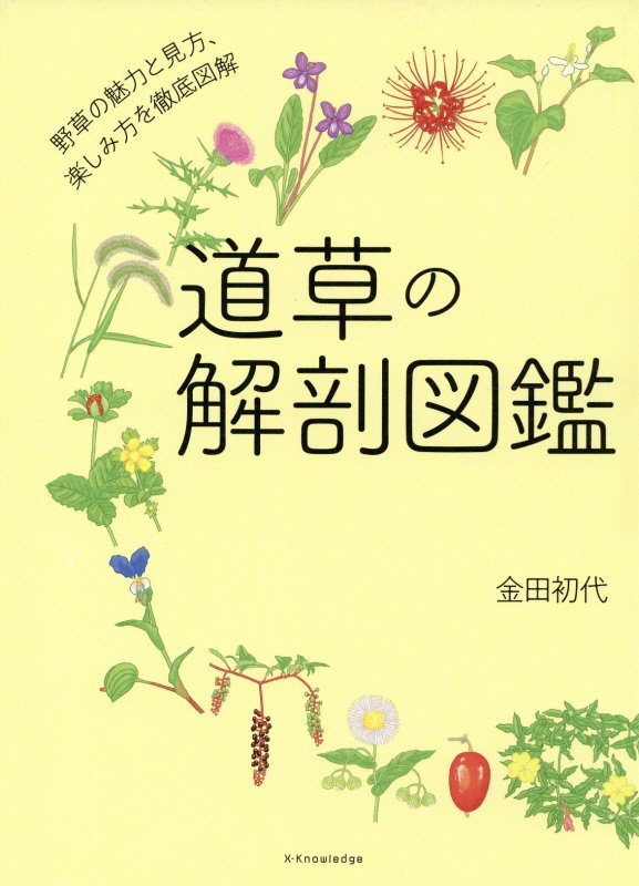 道草の解剖図鑑　