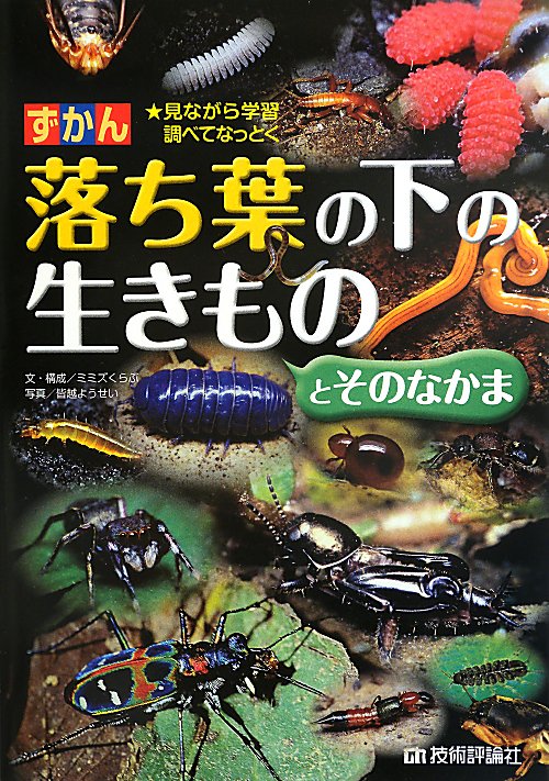 ずかん落ち葉の下の生きものとそのなかま　見ながら学習調べてなっとく　