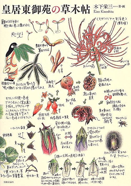 皇居東御苑の草木帖　