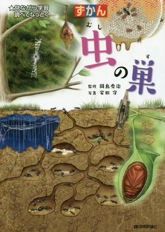 ずかん虫の巣　見ながら学習調べてなっとく　