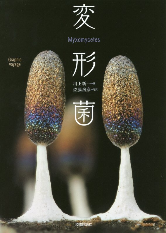 変形菌　　（Ｇｒａｐｈｉｃ　ｖｏｙａｇｅ）