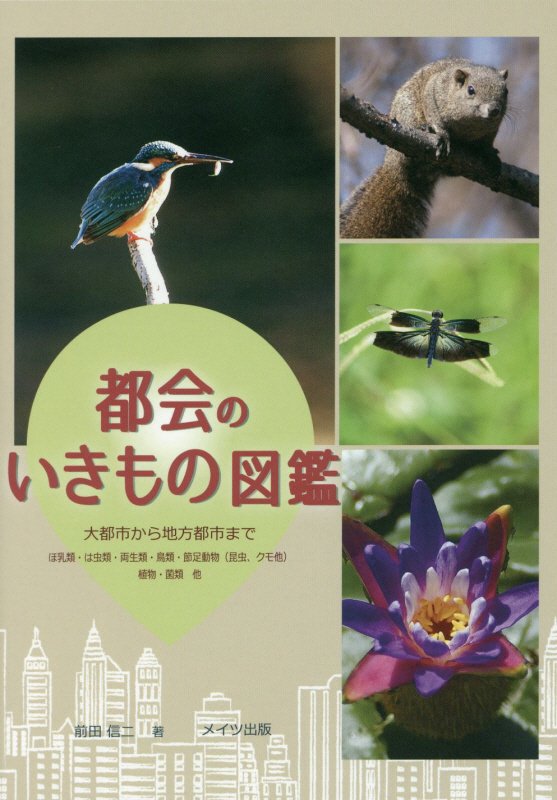 都会のいきもの図鑑　大都市から地方都市まで　