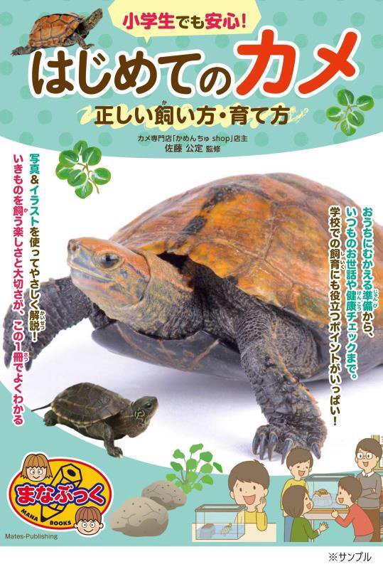 小学生でも安心！はじめてのカメ正しい飼い方・育て方　　（まなぶっく）