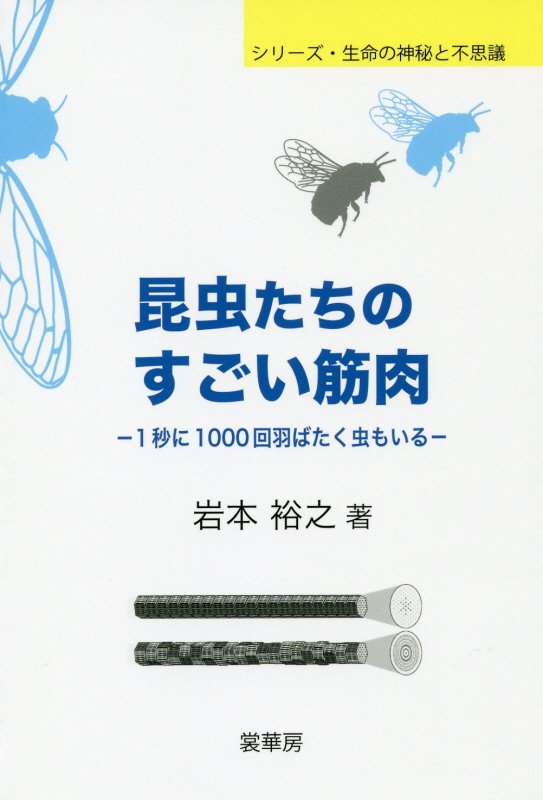 昆虫たちのすごい筋肉　１秒に１０００回羽ばたく虫もいる　　（シリーズ・生命の神秘と不思議）