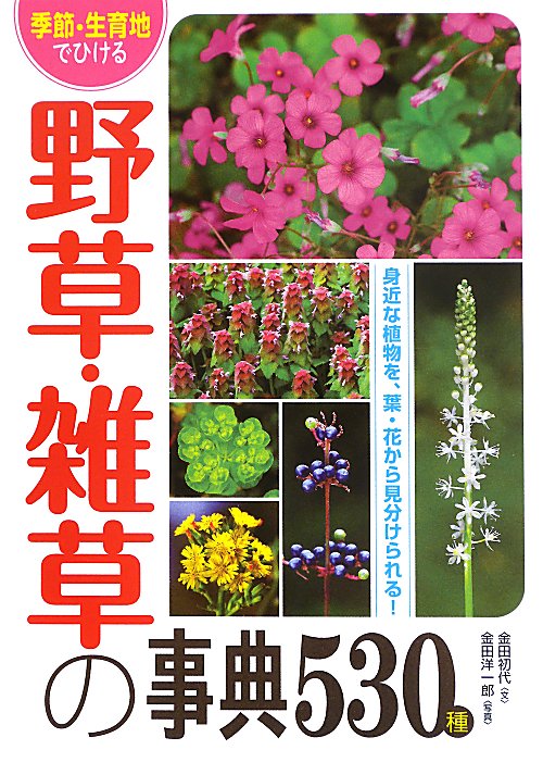 季節・生育地でひける野草・雑草の事典５３０種　