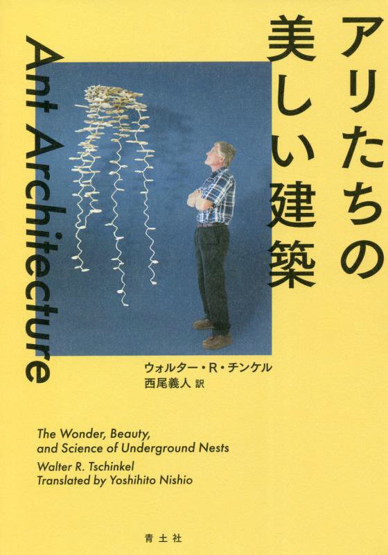 アリたちの美しい建築　