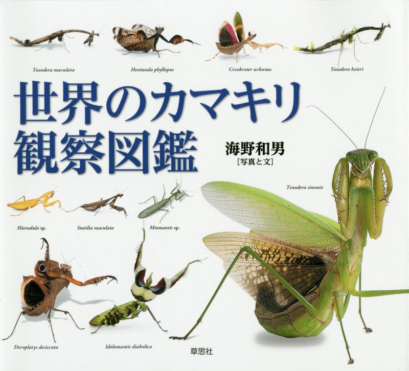 世界のカマキリ観察図鑑　