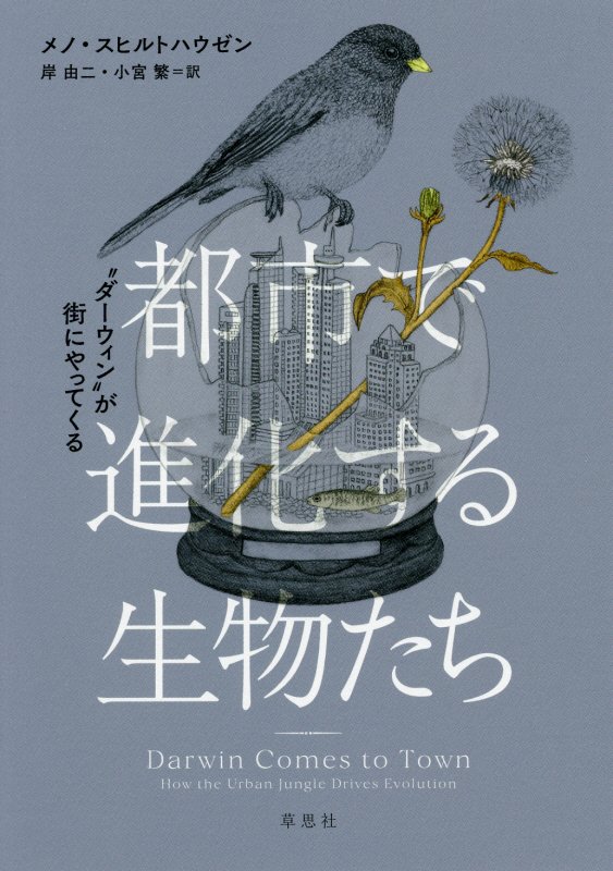 都市で進化する生物たち　“ダーウィン”が街にやってくる　