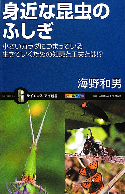 身近な昆虫のふしぎ　小さいカラダにつまっている生きていくための知恵と工夫とは！？　オールカ　　（サイエンス・アイ新書　２