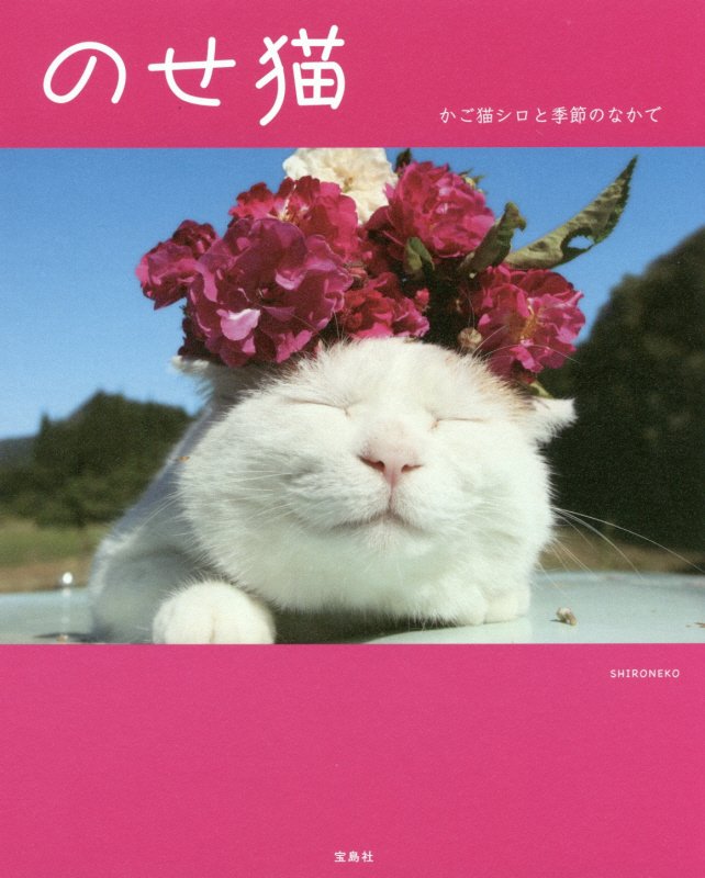 のせ猫　かご猫シロと季節のなかで　