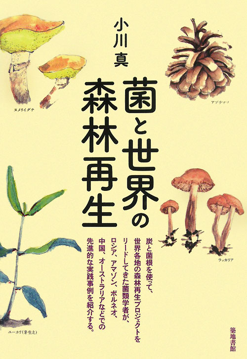 菌と世界の森林再生　
