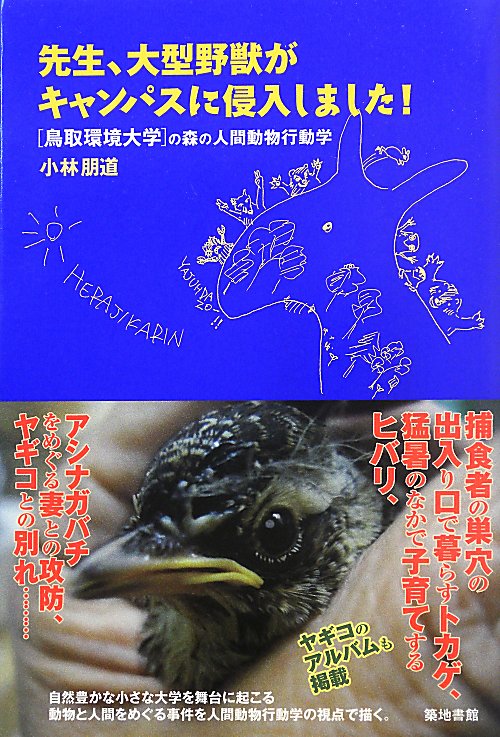 先生、大型野獣がキャンパスに侵入しました！　　（鳥取環境大学の森の人間動物行動学）