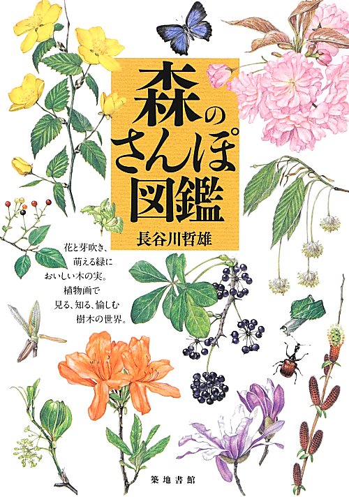 森のさんぽ図鑑　