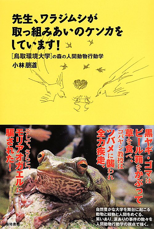 先生、ワラジムシが取っ組みあいのケンカをしています！　　（鳥取環境大学の森の人間動物行動学）