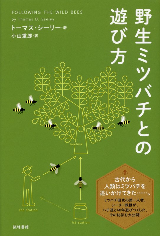 野生ミツバチとの遊び方　