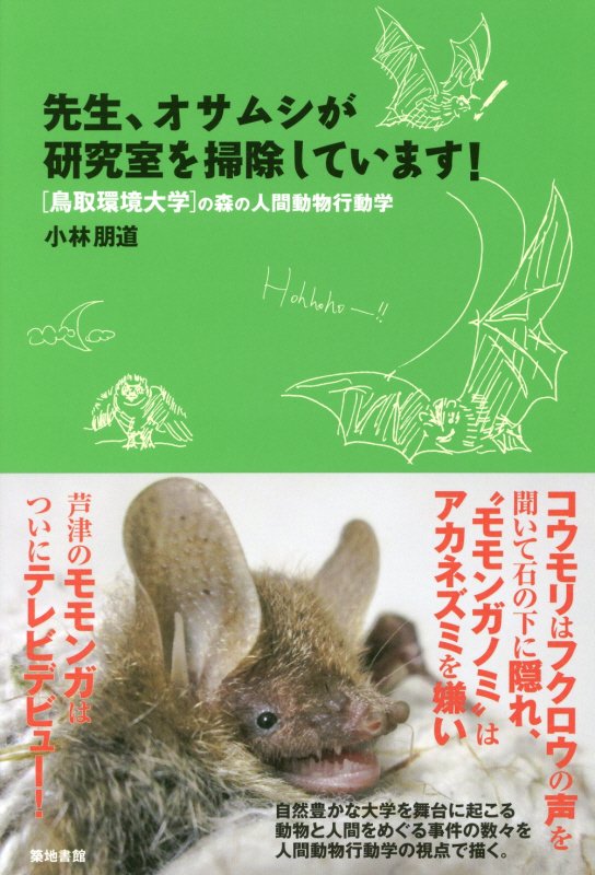 先生、オサムシが研究室を掃除しています！　　（鳥取環境大学の森の人間動物行動学）