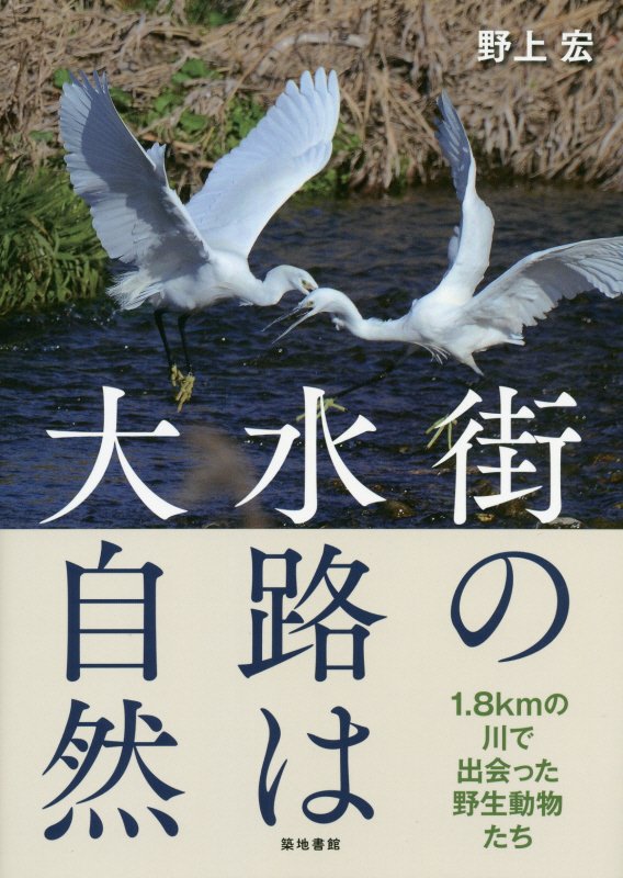 街の水路は大自然　１．８ｋｍの川で出会った野生動物たち　