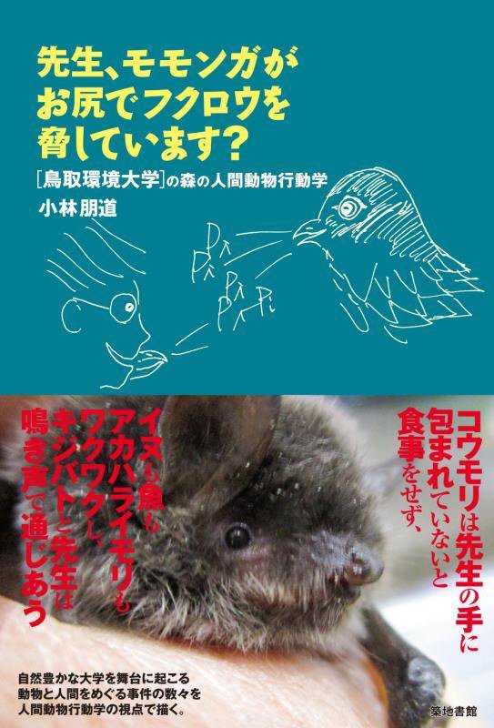 先生、モモンガがお尻でフクロウを脅しています？　　（〈鳥取環境大学〉の森の人間動物行動学）