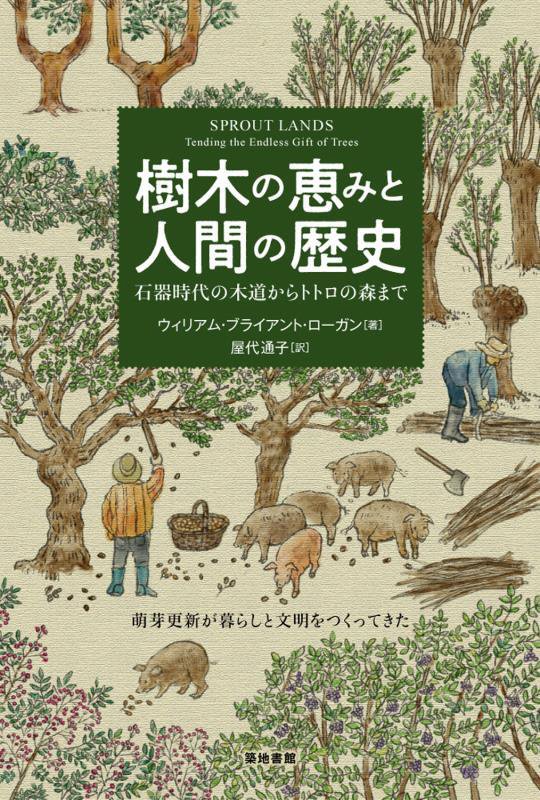 樹木の恵みと人間の歴史　石器時代の木道からトトロの森まで　