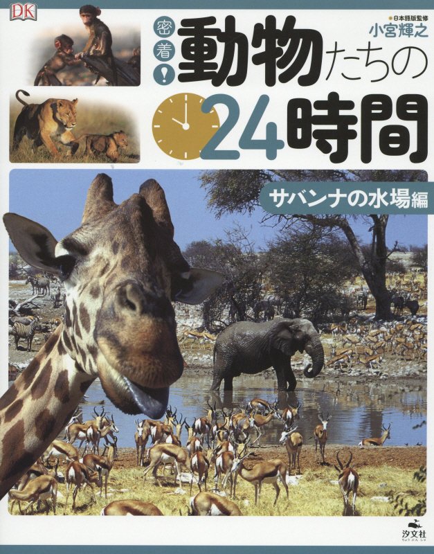 密着！動物たちの２４時間　サバンナの水場編