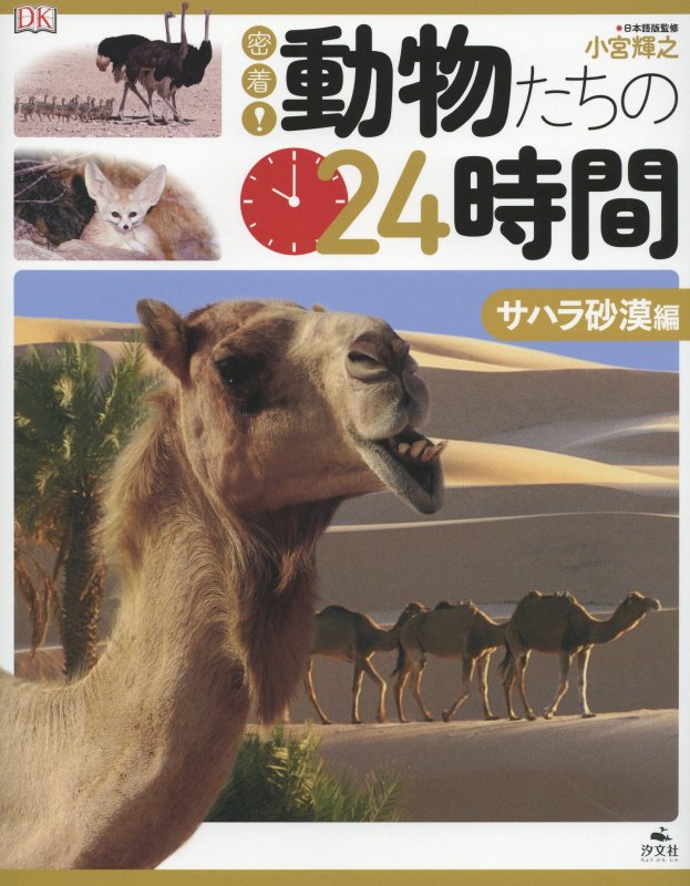 密着！動物たちの２４時間　サハラ砂漠編