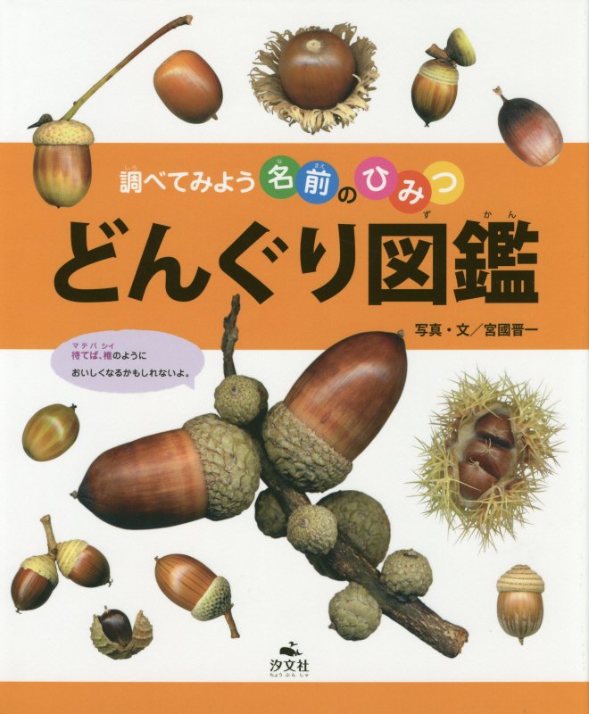 どんぐり図鑑　　（調べてみよう名前のひみつ）