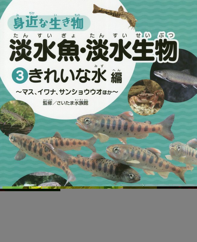 身近な生き物淡水魚・淡水生物　３　きれいな水編