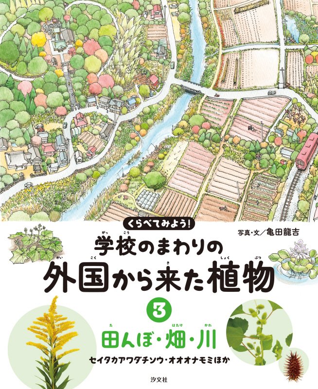 くらべてみよう！学校のまわりの外国から来た植物　３　田んぼ・畑・川