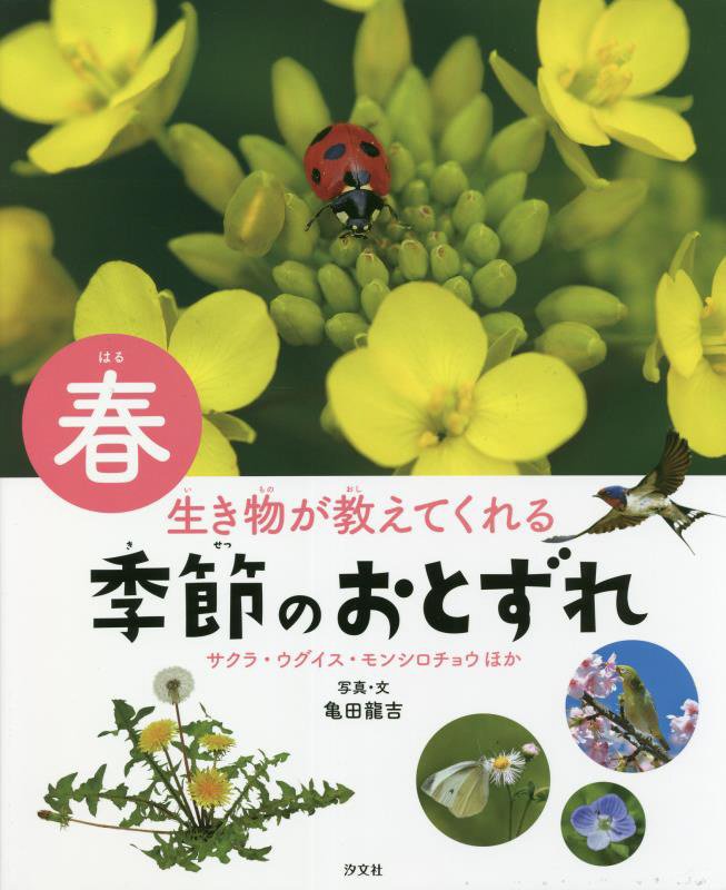 生き物が教えてくれる季節のおとずれ　春　サクラ・ウグイス・モンシロチョウほか