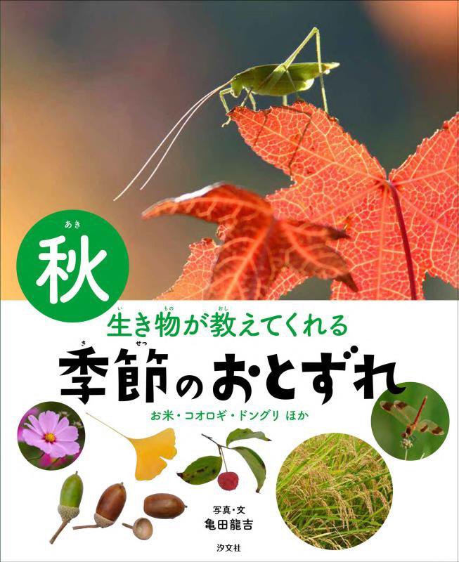 生き物が教えてくれる季節のおとずれ　秋　お米・コオロギ・ドングリほか