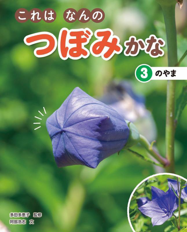 これはなんのつぼみかな　３　のやま