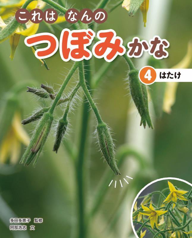 これはなんのつぼみかな　４　はたけ