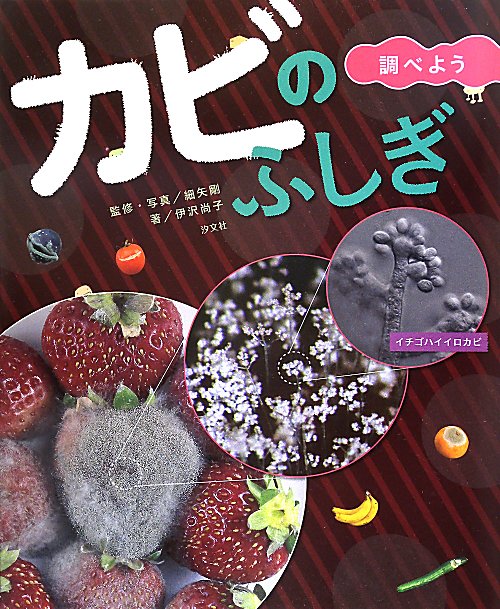 カビのふしぎ調べよう　