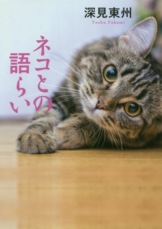 ネコとの語らい　